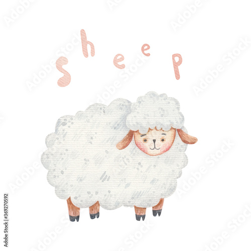 cute, curly lamb with the inscription on a white background, children's watercolor illustration, children's design of cards, invitations © Ilona