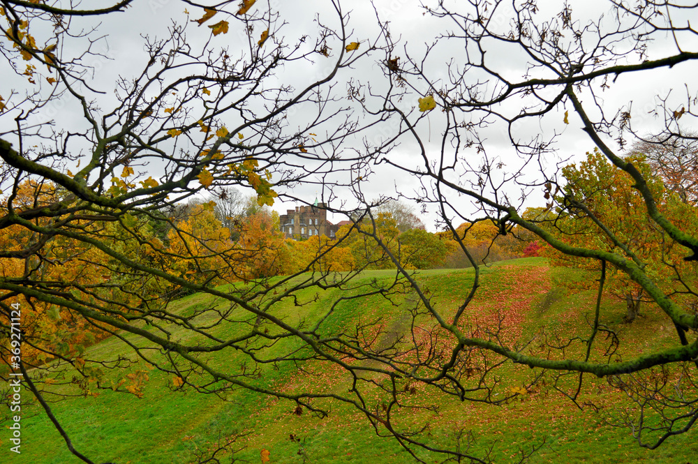 scenic landscape with branches in the foreground scenic landscape with branches in the foreground