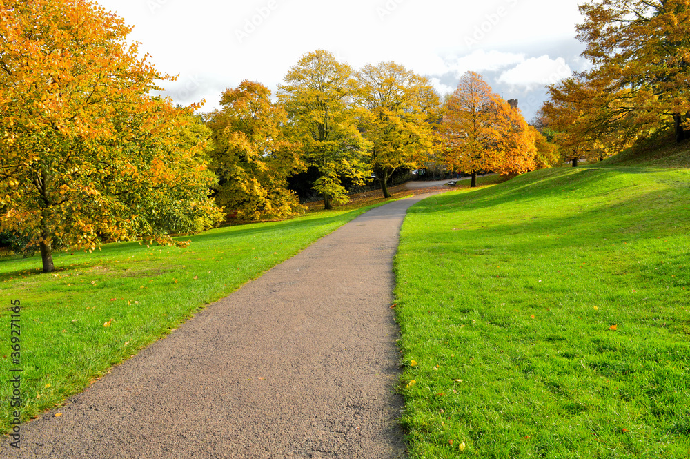 pathway with lawn on both sides and colourful trees in the background pathway with lawn on both sides and colourful trees in the background