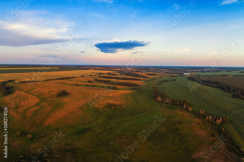 Top aerial view of green fi...