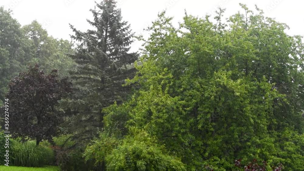 Starker Sommerregen und Winboen vor großen Gartenbäumen - Unwetterwarnung