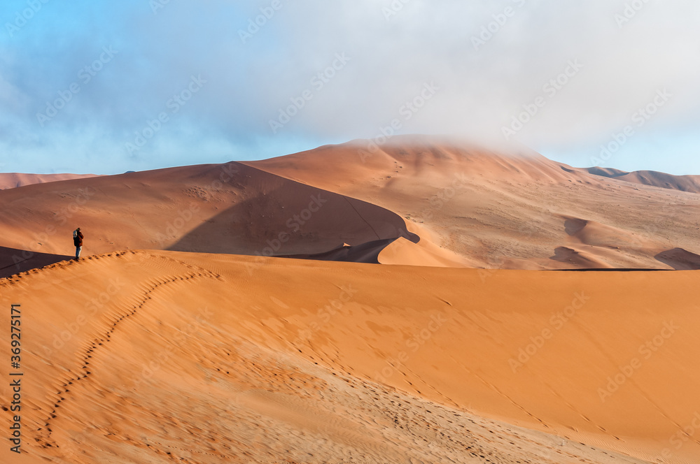 View from sickle shaped sand dune at Sossusvlei towards north