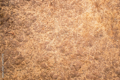Background ground that is dry