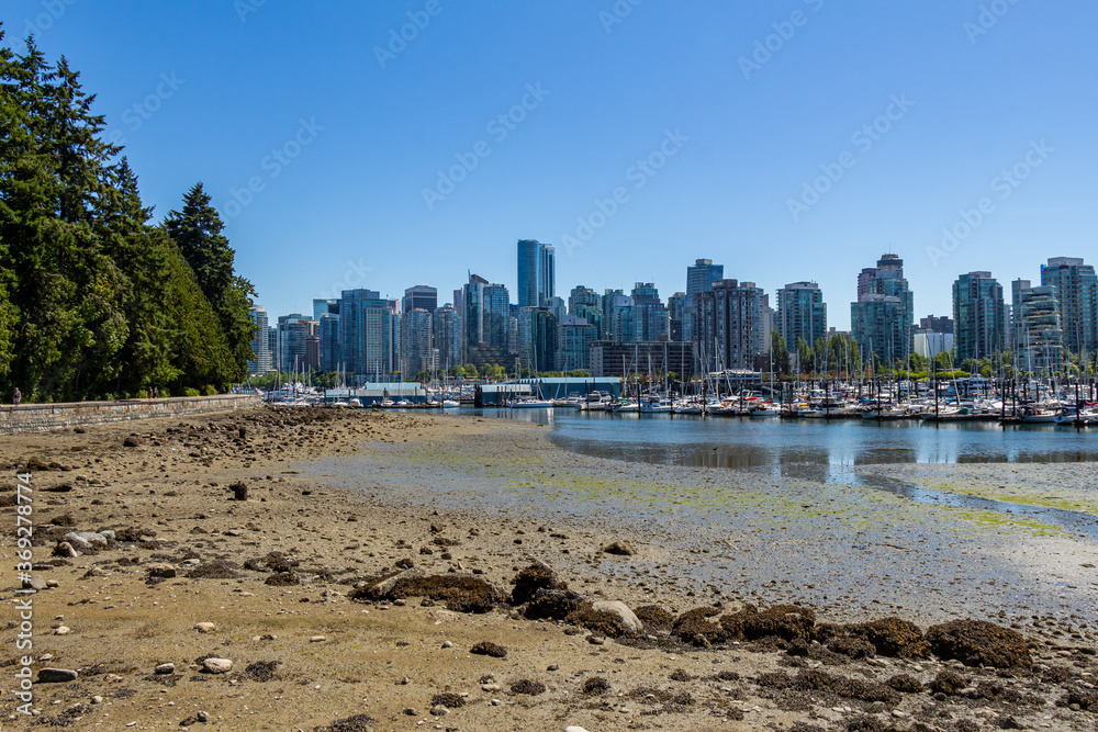Naklejka premium The Vancouver Skyline and Stanley Park sea wall at low tide in summer