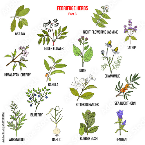 Febrifuge herbs collection. Part 3