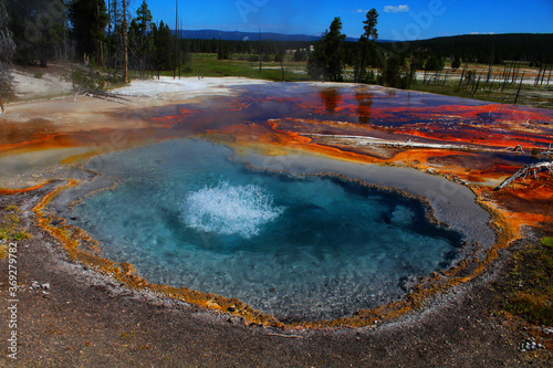 un étang très chaud avec un geyser dans le parc national du yellowstone aux Etats Unis
