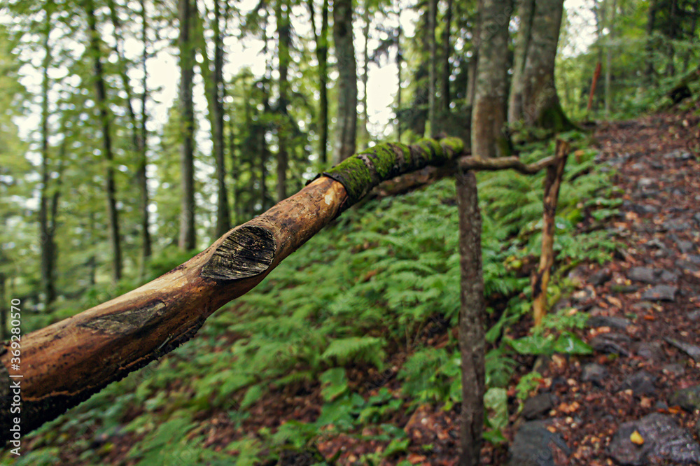 Fototapeta premium Handmade brown wooden railing in green forest