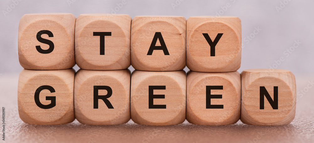 stay green printed on wooden cubes stay green printed on wooden cubes