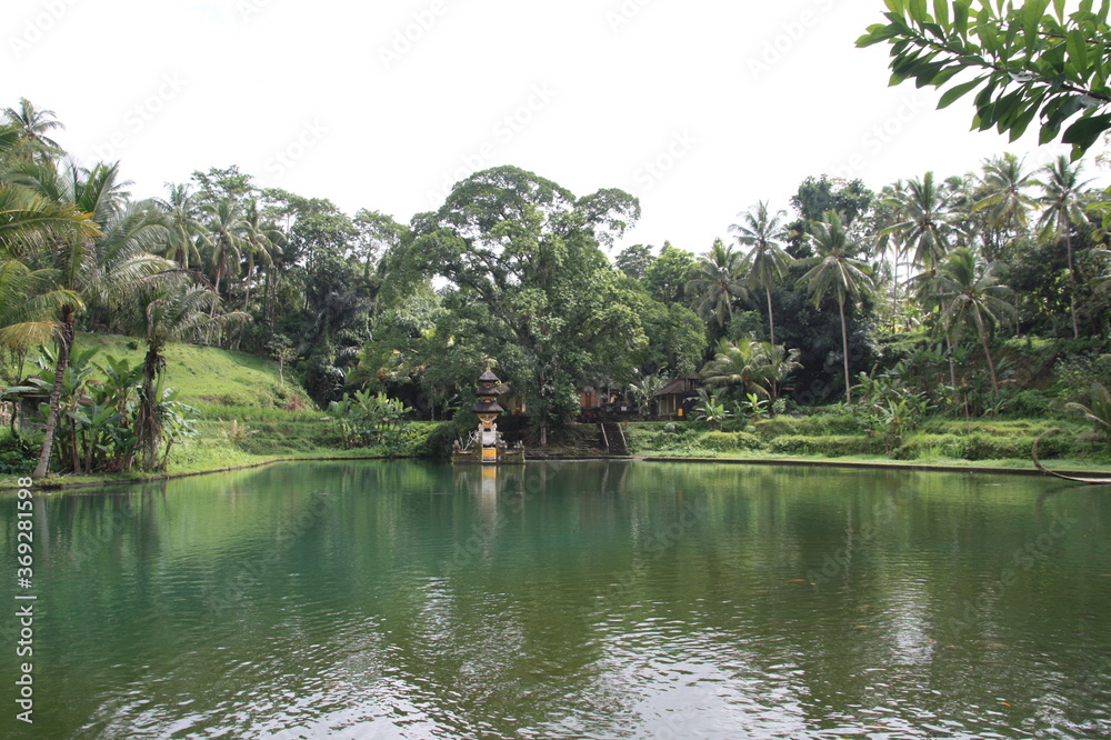 Beautiful landscape on a lake in a tropical forest near Ubud, Bali, Indonesia Beautiful landscape on a lake in a tropical forest near Ubud, Bali, Indonesia