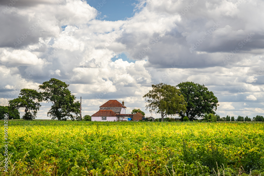 Isolated farm buildings surrounded by fields Isolated farm buildings surrounded by fields