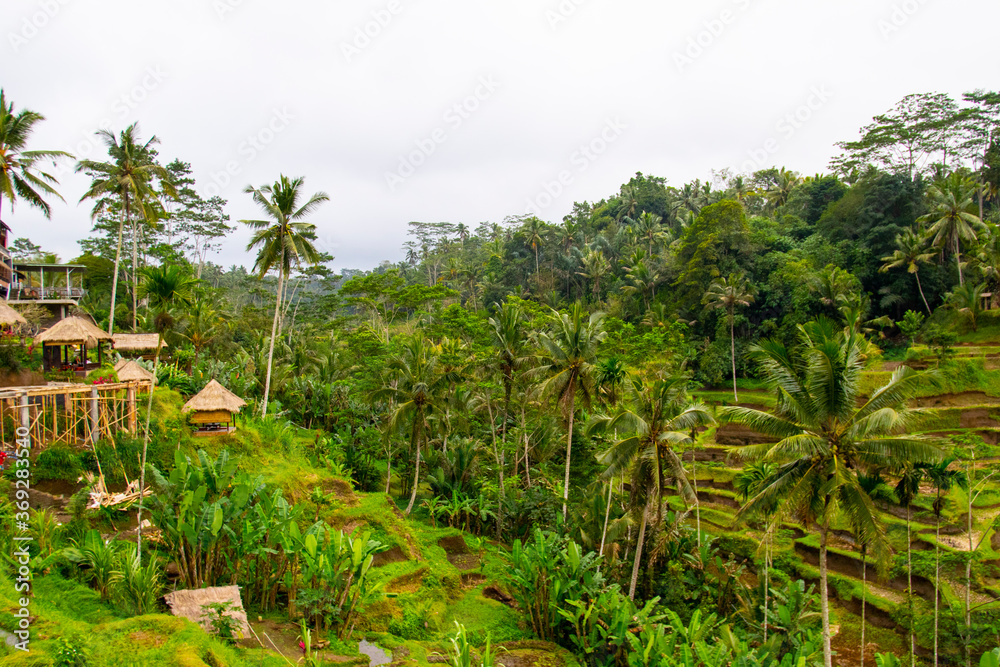 ubud Indonesia ubud Indonesia