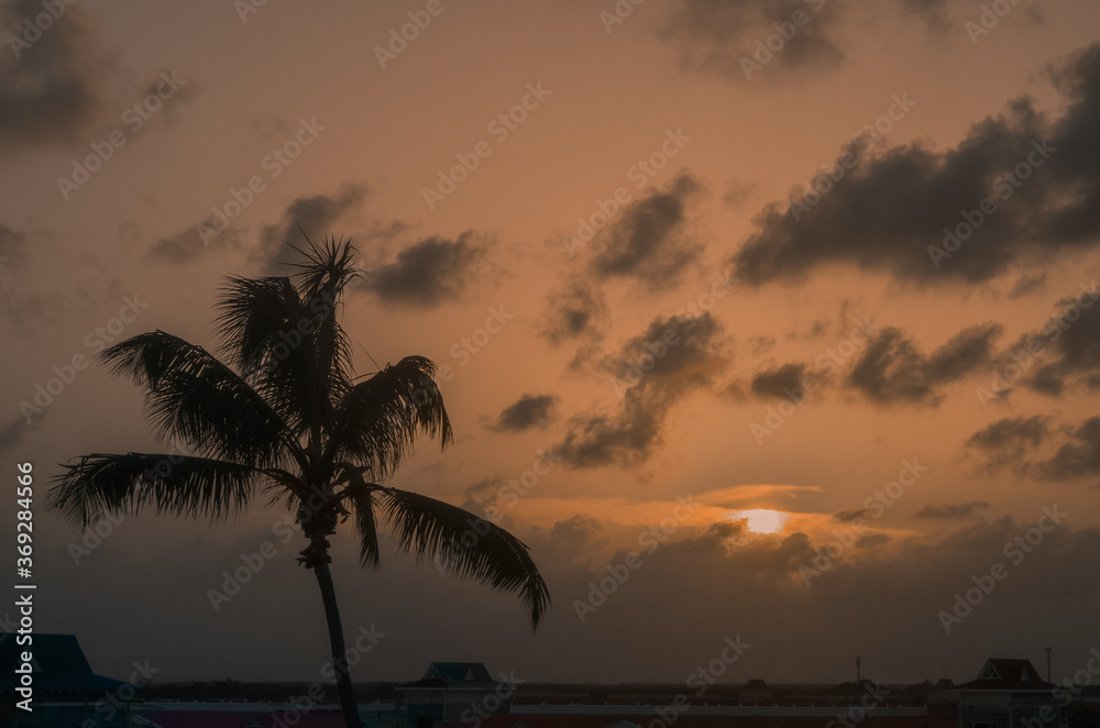 sunset at the beach