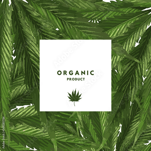 Medical cannabis leaf cover template for design, concept of organic natural bio product. Template for business, advertising, exhibition, party.
