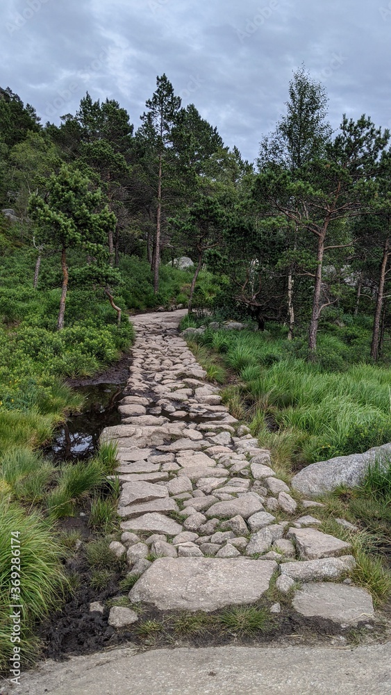 Stone path in nature