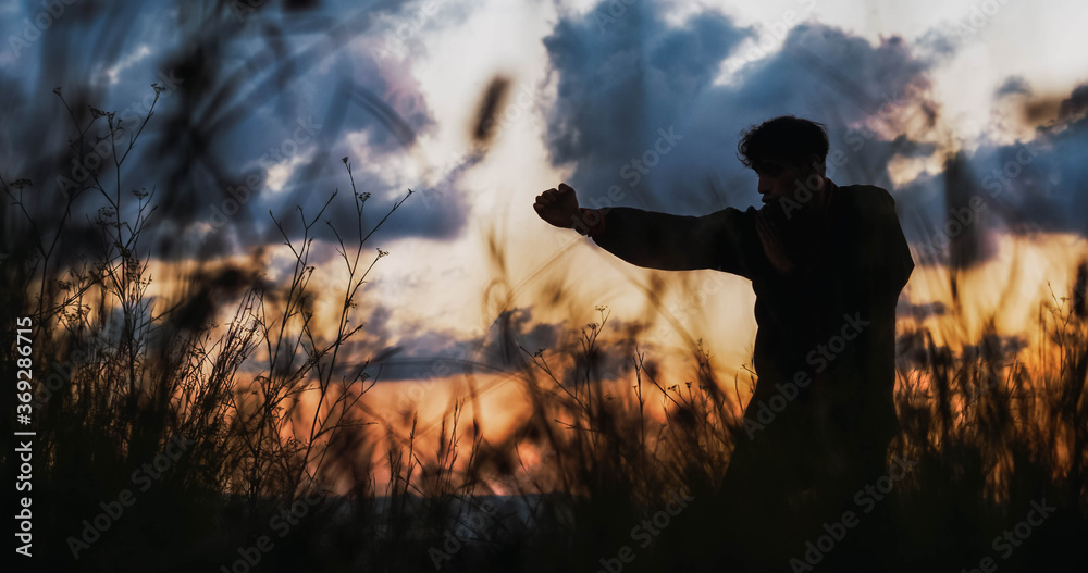 Fototapeta premium Man doing kungfu among the vegetation