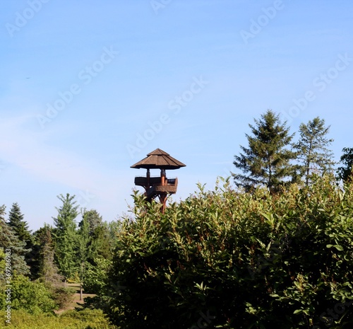 The tall wood tower over the treetop on a clear sunny day.