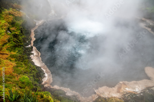 Thermal pool at Waikite Valley, Rotorua, New Zealand © jovannig