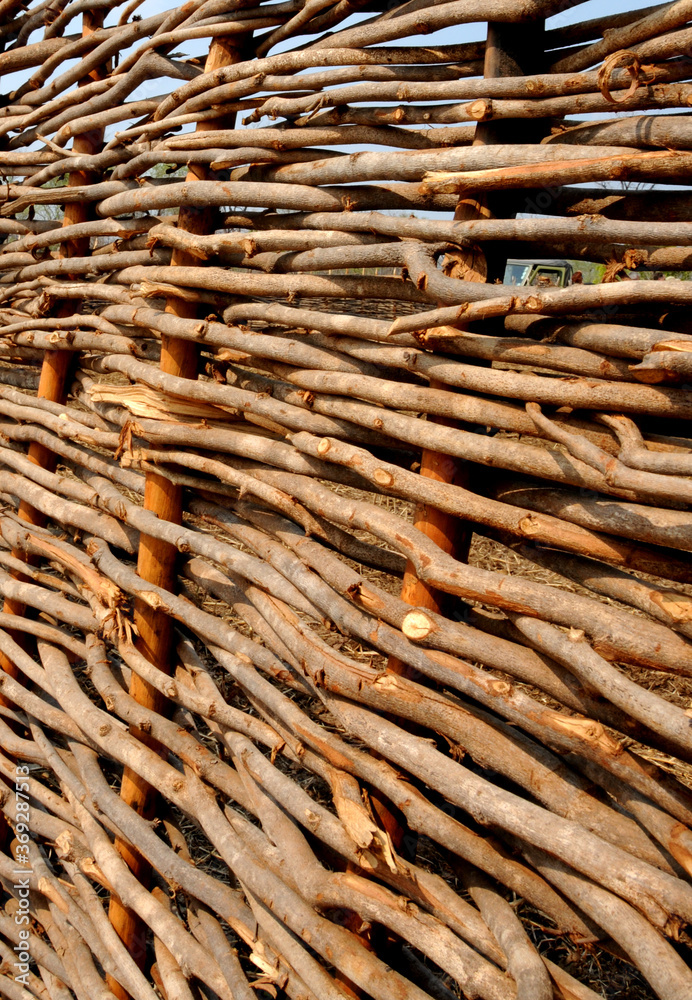Wooden slats plated in a tight protective fence, creating an overnight kraal for cattle against predators on a Zimbabwean farm Wooden slats plated in a tight protective fence, creating an overnight kraal for cattle against predators on a Zimbabwean farm