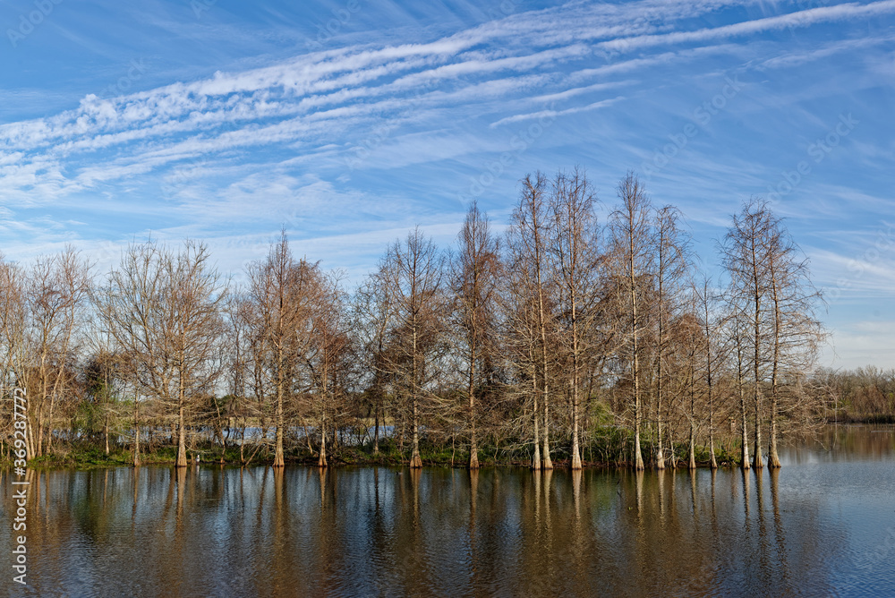 Creekfield lake perimeter with a line of trees growing from the Waters edge forming a small bank within the lake, and Brazos Bend State Park.