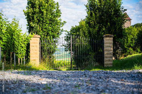 A low angle shot of a metal gate surrounded with greens