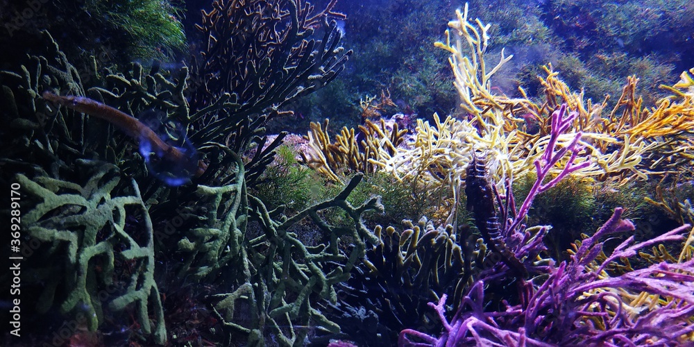 Obraz premium oceáno 2