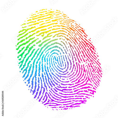 Vector Rainbow Multicolor Fingerprint on White Background photo