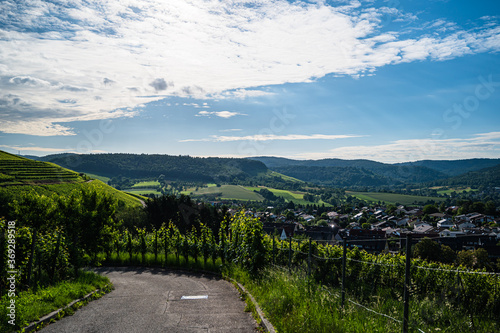 A beautiful landscape of a small town surrounded by vineyards forested mountains under a cloudy sky