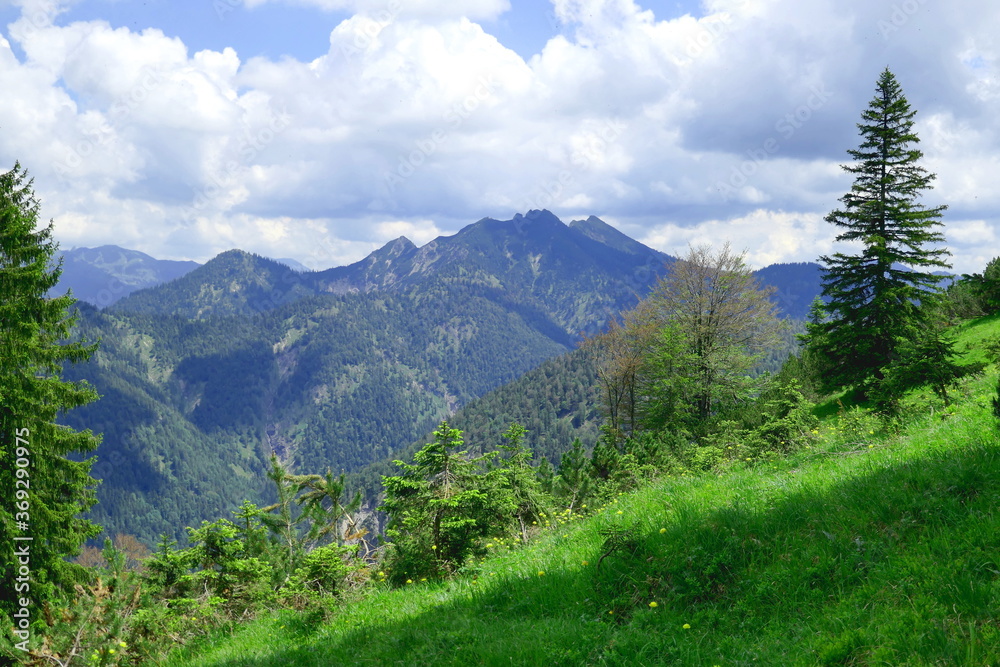 mountain panorama in the bavarian alps