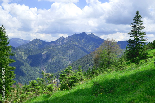 mountain panorama in the bavarian alps photo