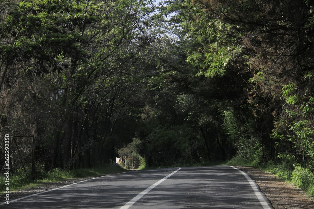 Obraz premium estrada