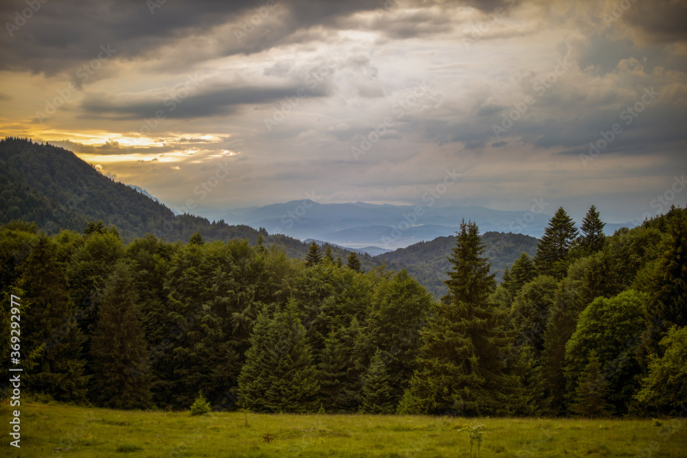 Beautiful landscape with pine forest in the mountains and clouds Beautiful landscape with pine forest in the mountains and clouds