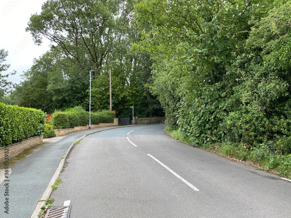Obraz premium View down, Lower Wyke road, with old trees, and hedges in, Wyke, Bradford, UK