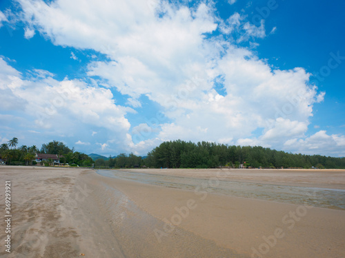 Fototapeta Naklejka Na Ścianę i Meble -  Shallow small river in shoaling beach