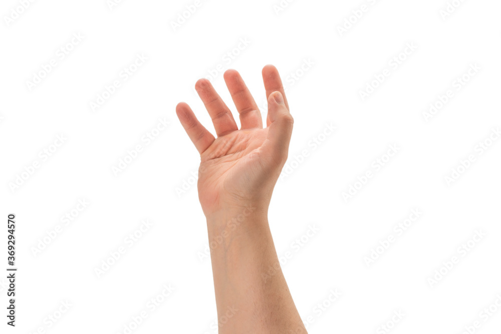 Male hand isolated on white. Male hand isolated on white.