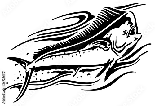 Dorado fish