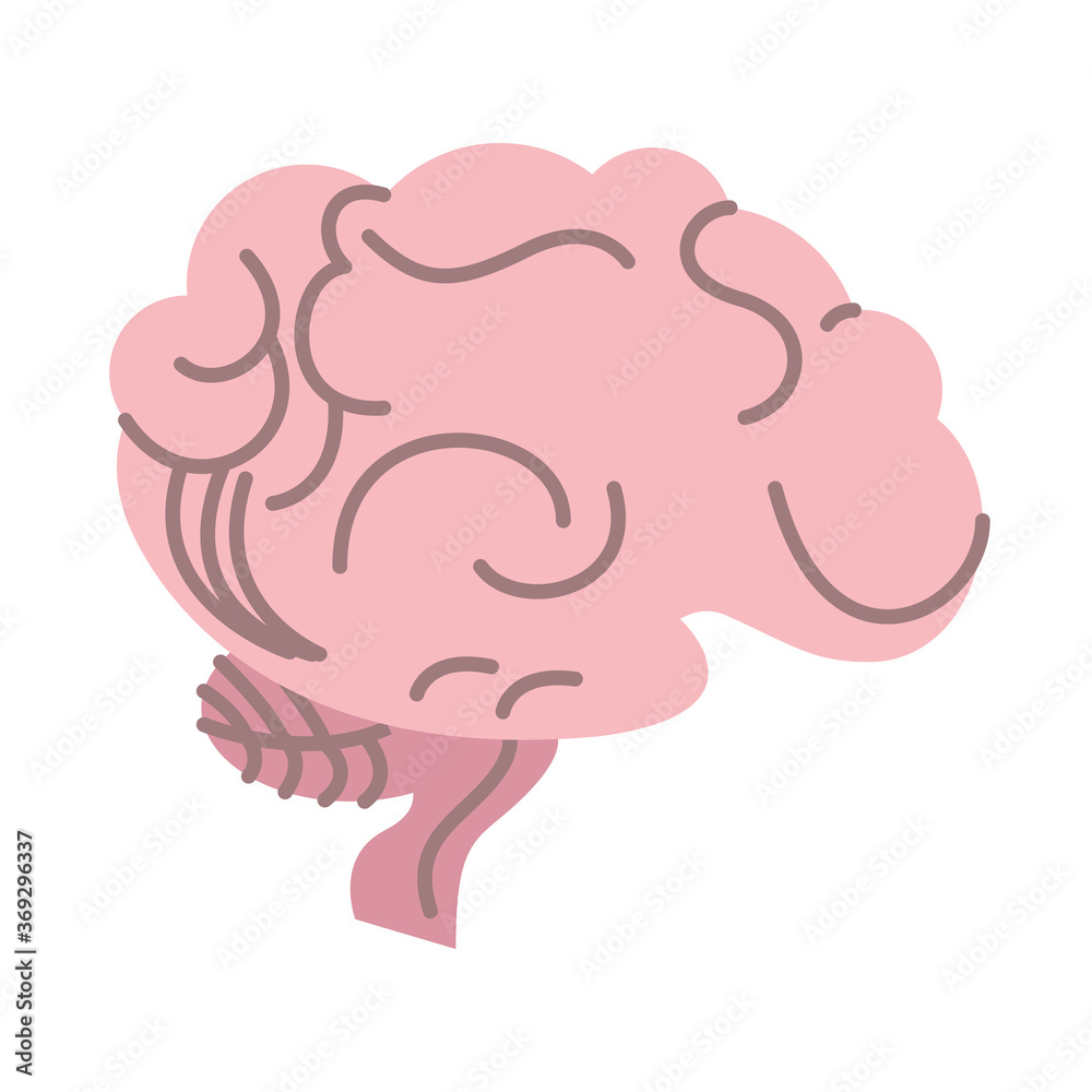 brain human organ isolated icon brain human organ isolated icon