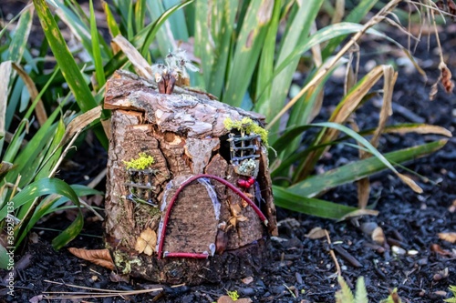 fairy house hidden away in the woodland photo