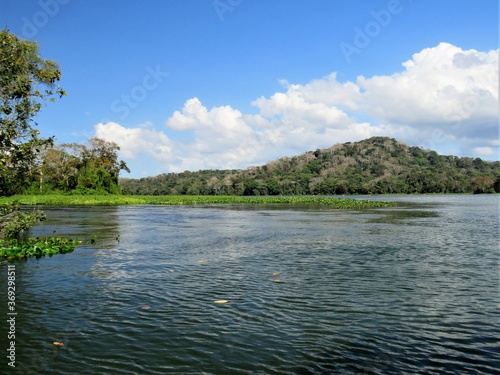 lake in the tropical forest  