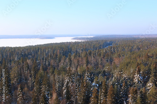 dense green summer winter aerial view
