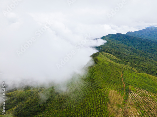 Mountain landscape of Doi Suan Ya Luang, Nan province, Thailand © aedkafl