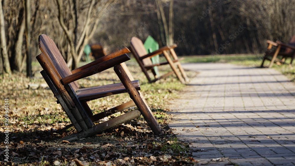 bench in the park bench in the park