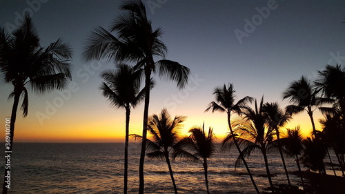 Ocean and palm trees at dusk in a tropical paradise