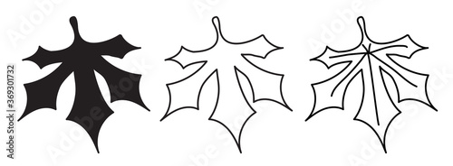 Botany. Tree leaves. Different versions of the pattern - outline, silhouette and leaf with veins. Element for design and decor, logo. Vector. Isolated elements on white background