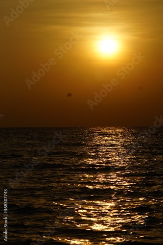 SONY DSC