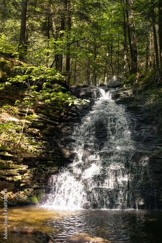 waterfall in the woods
