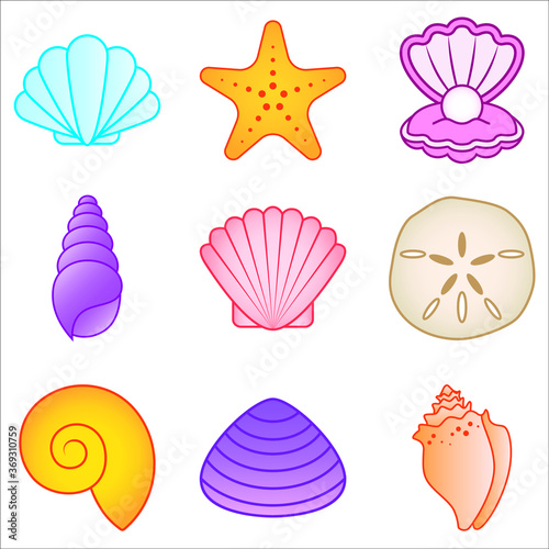 Vector set of seashells illustration