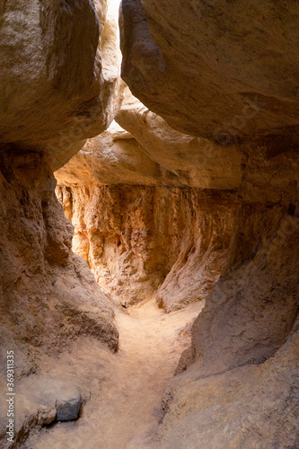 canyon in the desert
