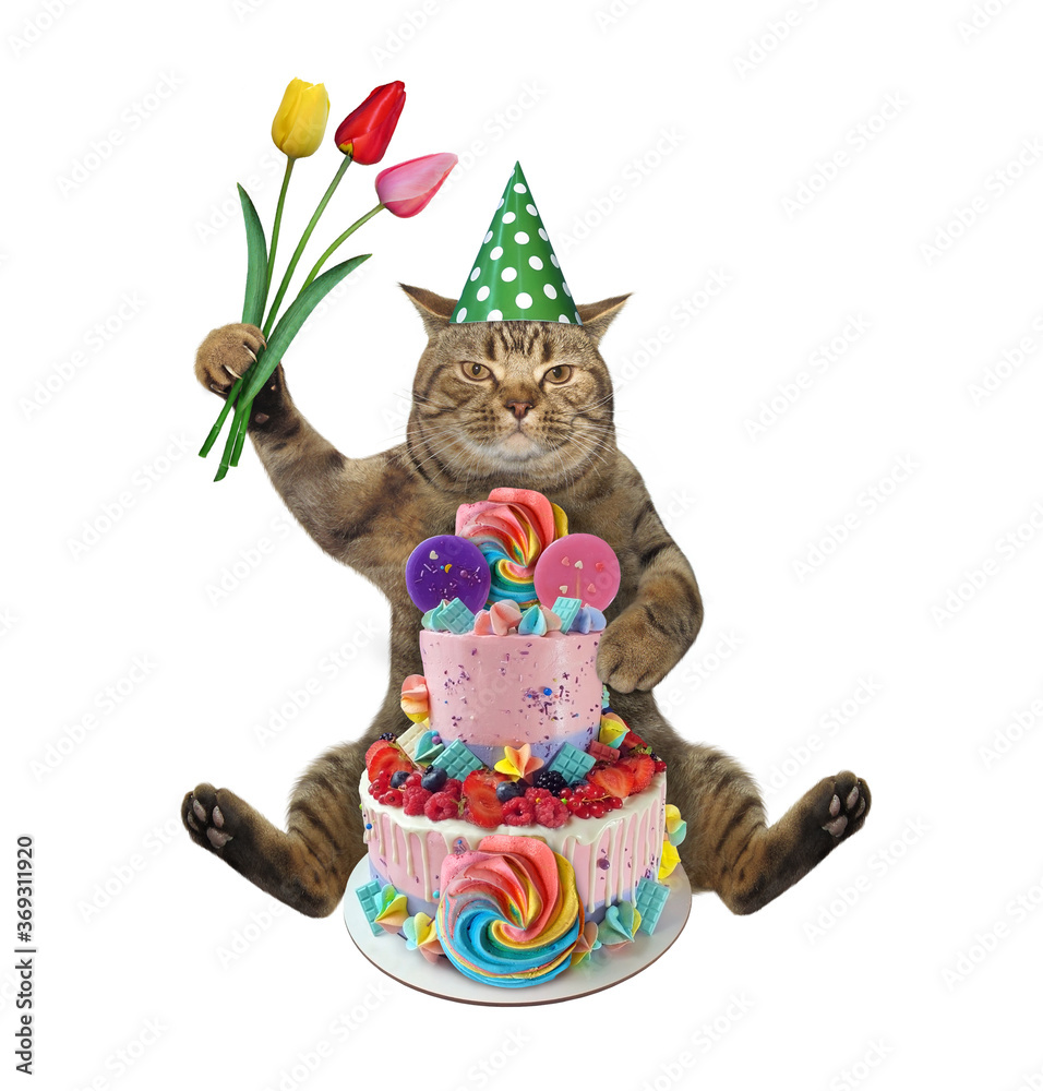 The beige cat in a birthday hat with a bouquet of flowers is sitting near a two tiered cake. White background. Isolated.
