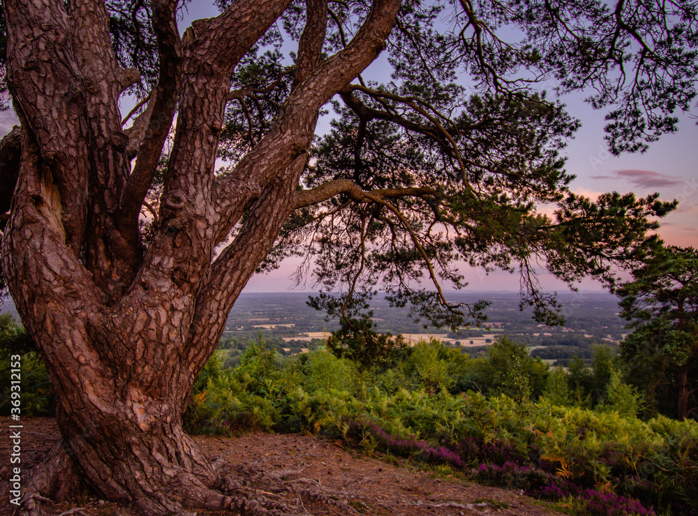 Sunset views over the landscape Sunset views over the landscape