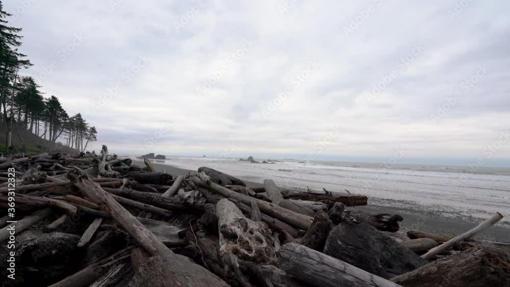 Tracking shot of coastal driftwood at Ruby Beach in Oregon coast Tracking shot of coastal driftwood at Ruby Beach in Oregon coast
